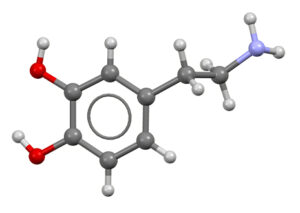 What does this dopamine molecule do to you?