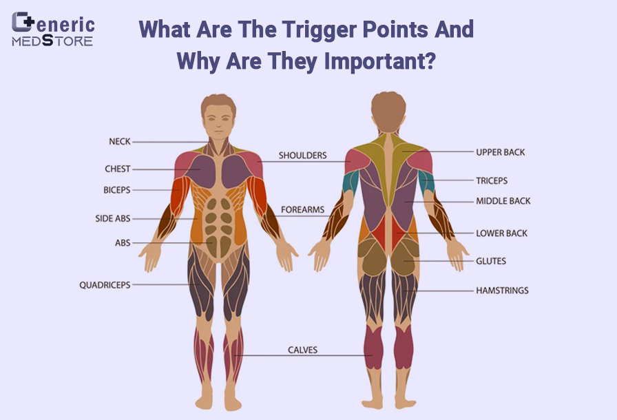 What are the trigger points and why are they important?