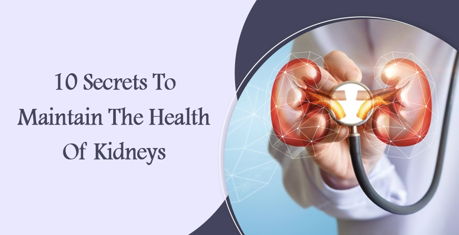 10 Secrets to Maintain the Health of Your Kidneys