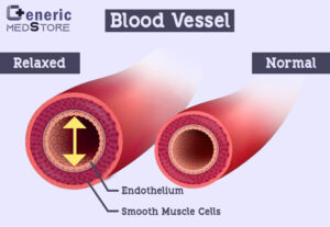 Blood Vessel